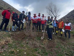 تعامل  تیم کوهنوردی دانشگاه الزهرا و انجمن پزشکی کوهستان در اجرای برنامه درختکاری در گردنه واریش